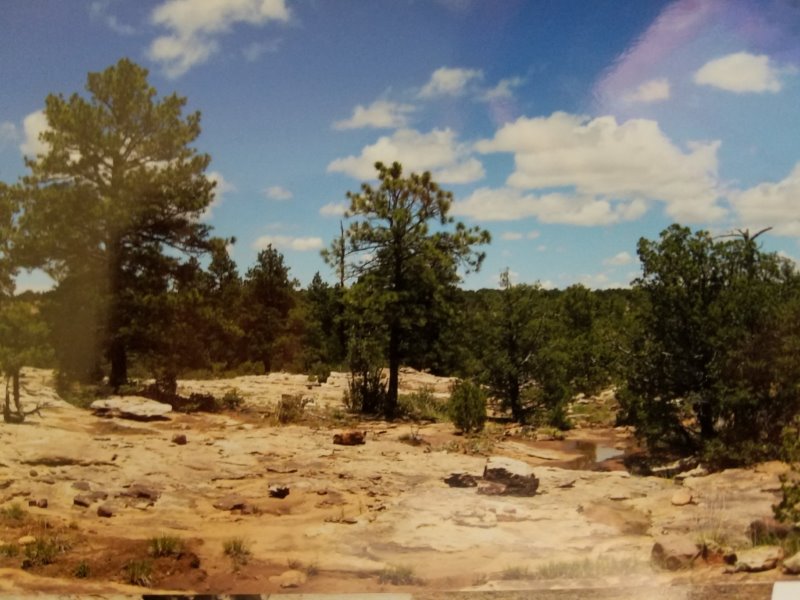 53 Stone Mountain Subdivision, New Mexico Real Estate For Sale